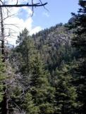 View ENE from Pino trail 140
