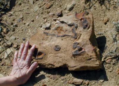 iron nodules
