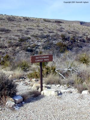 The trailhead
