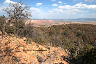 View SE from the Rim Vista trail
