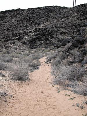 The trail
