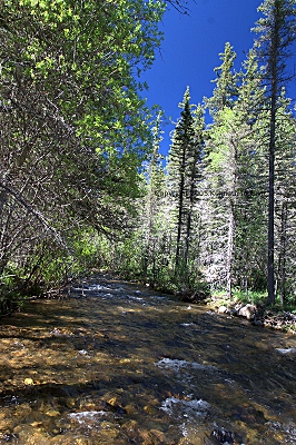 A view up the Rio Mora
