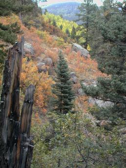 Fall colors along the trail to the Rio Mora
