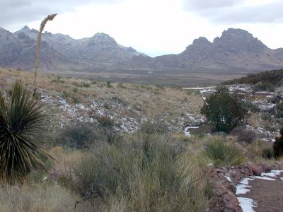Big Florida Mountains
