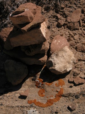 cairn with a smiley-face of lichen next to it
