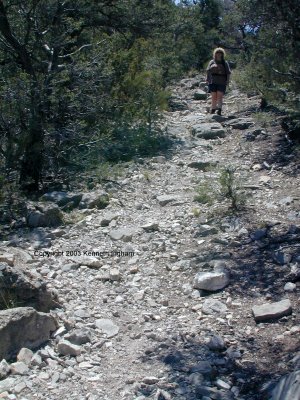 Diana on the trail
