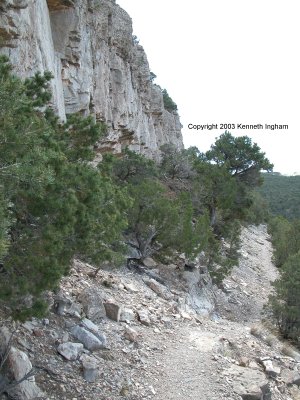 View of the trail
